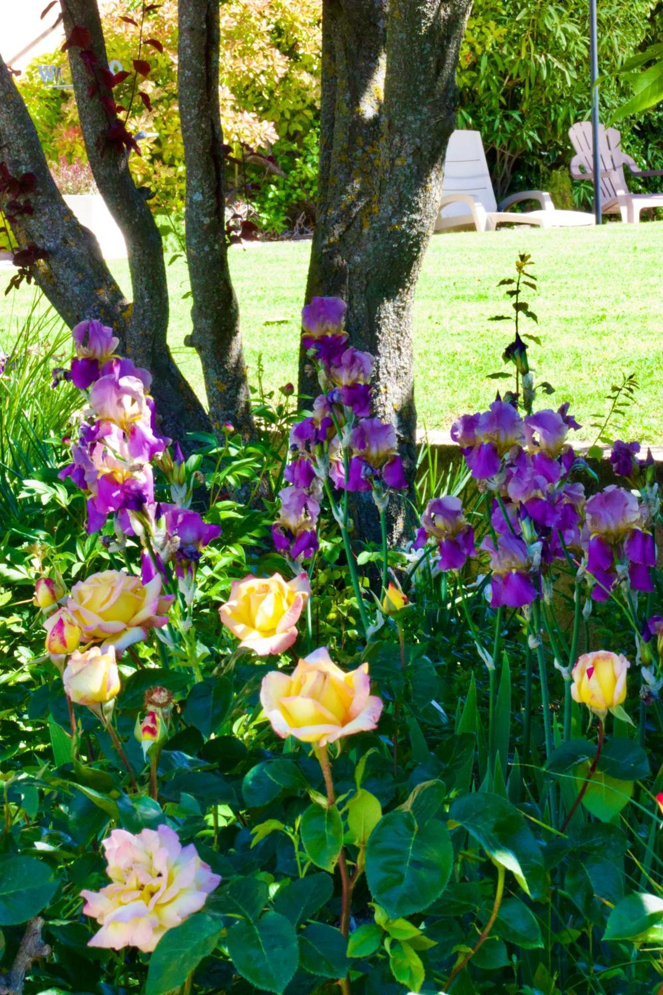 مبيت وإفطار Saint-Julien-d'Asse La Bastide Des Roses المظهر الخارجي الصورة